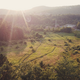 Initiez-vous à la teinture naturelle