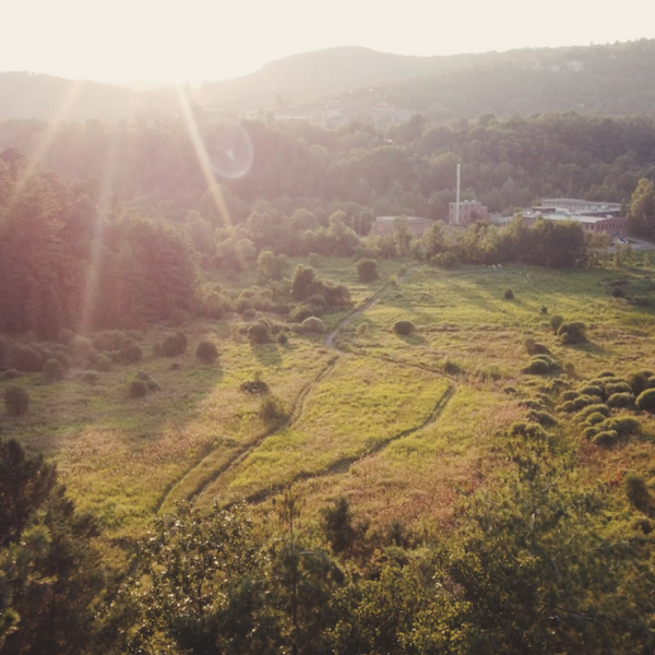 Initiez-vous à la teinture naturelle