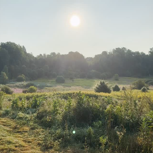 Atelier libre du 25 avril (pm)