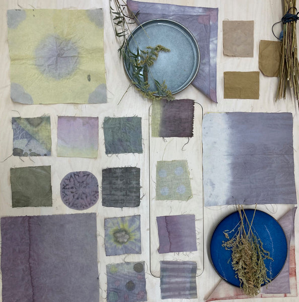 Initiez-vous à la teinture naturelle