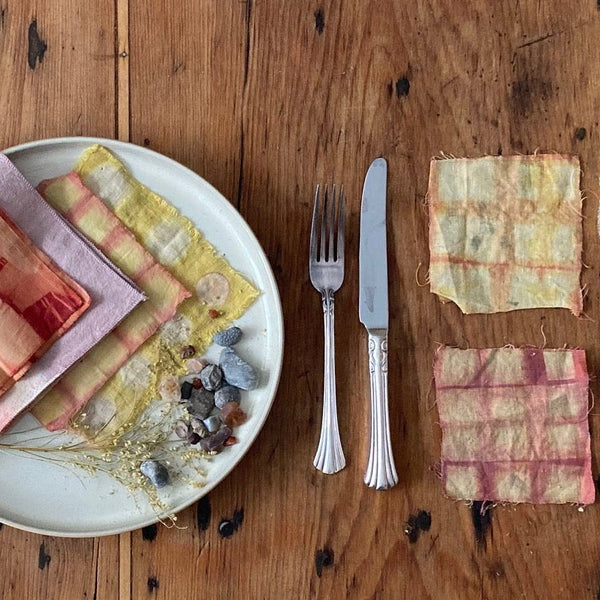 Initiez-vous à la teinture naturelle